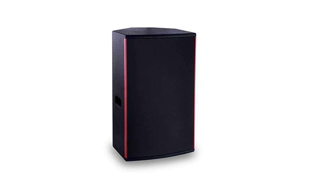 MP12 Professional Speaker Box